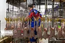 گرانفروشی در نرخ های جدید مرغ و تخم مرغ رخ نداده است