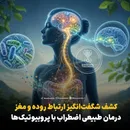کشف شگفت‌انگیز ارتباط روده و مغز؛ درمان طبیعی اضطراب
