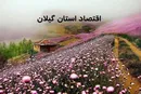 گیلان در ۱۴۰۴؛ از برنج و چای تا بندر و گردشگری، استان سبز ایران در مسیر تثبیت اقتصاد چندبخشی