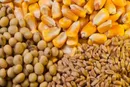 مخالف دولت باشورای قیمت‌گذاری محصولات کشاورزی غیرقانونی است