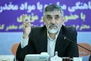 آقازاده‌های متخلف در حوزه قاچاق معرفی می‌شوند