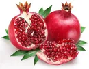 انار، نماد جاودان ایران زمین