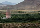 نقش مناطق آزاد در توسعه کشور