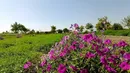 «باغات سبز حکم‌آباد؛ پارک بزرگ طبیعی تبریز که در آستانه نابودی است / ضرورت ثبت ملی و جهانی میراث سبز تبریز»