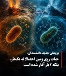 شاید حیات روی زمین یک‌بار آغاز نشده باشد؛ دو مسیر مستقل برای شکل‌گیری سلول‌های زنده