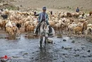 زندگی عشایر قره داغ + تصاویر