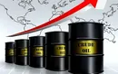 آیا دلار در مسیر ریزش قرار می‌گیرد؟ اثر افزایش درآمدهای نفتی بر بازار ارز ایران