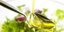 کمبود روغن زیتون در کشور