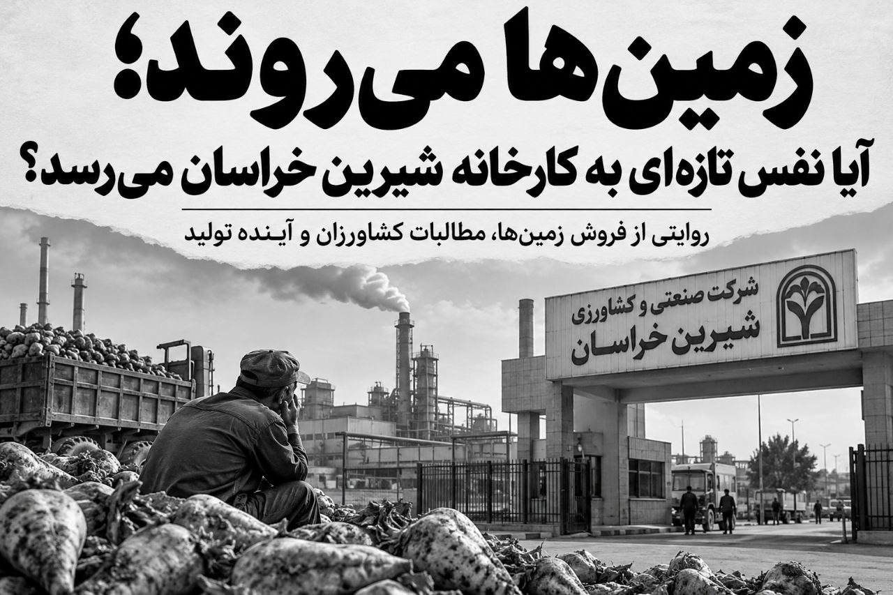 زمینها میروند؛ آیا نفس تازهای به کارخانه شیرین خراسان میرسد؟ زمینها میروند؛ آیا نفس تازهای به کارخانه شیرین خراسان میرسد؟