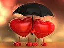 عشق‌هایی که زود می‌آیند و زود می‌روند