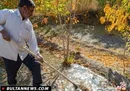 ۸۰ درصد سموم مورد نیاز کشاورزان در داخل کشور تامین می‌شود