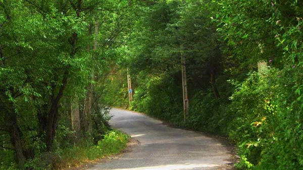 در جنوب شرقی مشگین شهر، دره سرسبز و طویلی هست که انتهای آن به میدان سبلان مشگین شهر می رسد. پارک جنگلی خیاوچای که از زیباترین جاذبه های گردشگری مشگین شهر می باشد،در مسیر همین دره خوش آب و هوا قرار دارد. درختان آلبالو، گیلاس و گردوی آن معروف است. در حاشیه این پارک، رودخانه خیاوچای قرار گرفته که ماهی قزل آلا هم در آن وجود دارد و می توان کنار همان رودخانه، کبابش کرد. غیر از این ها، اگر هوس آش معروف اردبیل، یعنی آش دوغ را کرده باشید، می توانید درهمین مکان، دلی از عزا دربیاورید، آن هم با دستپخت آش فروشان محلی. هوای مطبوع و جنگل زیبای این پارک می تواند روز زیبایی را در خاطراتتان بسازد. با پیاده روی لذت بخش و گشت و گذار در جنگل در تابستان و با دمای هوای 19 درجه، روحتان تازه و پرنشاط خواهد شد. پارک جنگلی خیاو چای در خیابان نواب قرار دارد