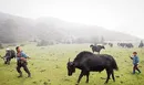 جایی آن دورها.../نگاهی به زندگی جذاب قبیله ای در بوتان