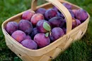 خواص این 6 میوه تابستانی