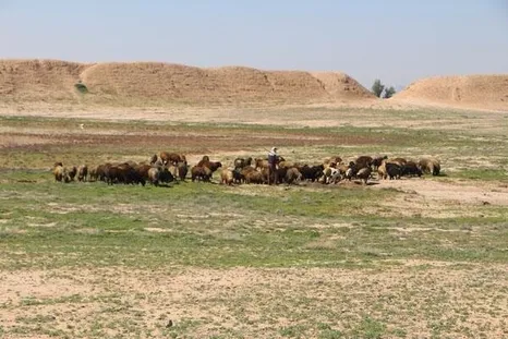 شبیخون به «دارابگرد»!