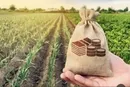 سایه قبض ۴۰۰ میلیونی بر سر کشاورزان