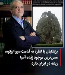 پزشکیان و جنجال سرو ابرکوه