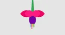 سیستم عامل بعدی گوگل با نام Fuchsia روی همه چیز اجرا می شود