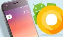 تاریخ انتشار نسخه Android O در بریتانیا تایید شد