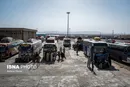 ادامه تردد کالا و مسافر از هند و پاکستان