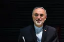 آمانو با رضایتمندی از ایران رفت