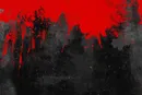 مردی که به عروسی دعوت نشد، خون به پا کرد