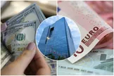 دلار فعلاً در ایستگاه انتظار؛ بانک مرکزی این فرصت را از دست ندهد