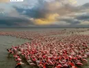 آب خزر به میانکاله نرسید