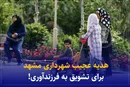 هدیه عجیب شهرداری مشهد برای تشویق به فرزندآوری!