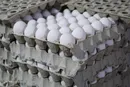 ادامه کاهش نرخ مرغ و تخم مرغ نسبت به قیمت مصوب