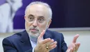 حرفهای صالحی به عنوان یکی از مقامات ارشد تیم مذاکره کننده ایران و رییس سازمان انرژی اتمی بهت آور است