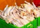صادارت گوشت مرغ تخم‌گذار آزاد شد