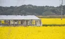 درون منطقه ممنوعه هسته‌ای فوکوشیما