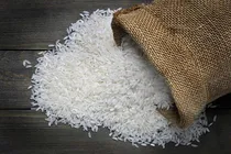 قیمت‌ برنج ایرانی همچنان در کانال ۴۵۰ تا ۵۵۰ هزار تومان