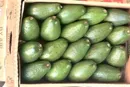 بازار قاچاقچیان از سکه افتاد/ کاهش چشمگیر عرضه میوه‌های خارجی