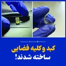 کبد و کلیه فضایی ساخته شدند!