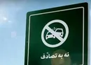 نوروز ۱۴۰۴؛ تعطیلات طولانی‌تر و نگرانی از افزایش تصادفات جاده‌ای