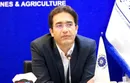 ترخیص بیش از ۱۳ هزار تن برنج از گمرک