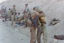 کاروان هنوز می‌گذرد؛ بر روی گُلِ ارغوان