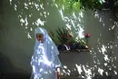 انعکاس + تصاویر