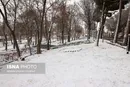 ورود سامانه بارشی به کشور طی امروز
