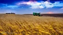 قیمت خرید تضمینی گندم مورد رضایت کشاورزان نیست