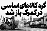 گره کالاهای اساسی در گمرک باز شد؛ تصمیمی امیدبخش برای سفره مردم