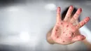 آشنایی با محصولات رویال اگزوز؛ از منبع اگزوز تا سر اگزوز اسپرت