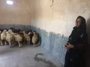 326 فرصت شغلی برای زنان سرپرست خانوار زلزله‌زده‌ کرمانشاه
