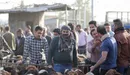 پیش‌بینی عرضه مستقیم۲۵هزارراس دام عشایر درعید قربان در تهران