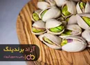 با یک محصول استثنایی میانبری به سوی ثروت زدم