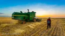 تولید گندم به ۸ میلیون تن می رسد