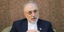 چرایی سفر گروسی به تهران