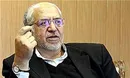 پروژه های معدنی متعلق به اشخاص نیست